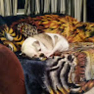 Meet your Posher, Matt